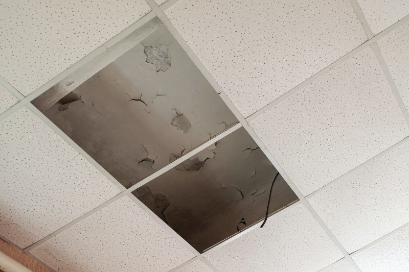 Ceiling Drywall Replacement