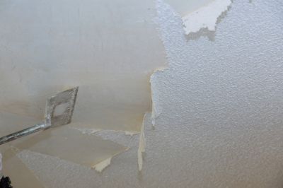 Ceiling Drywall Replacement