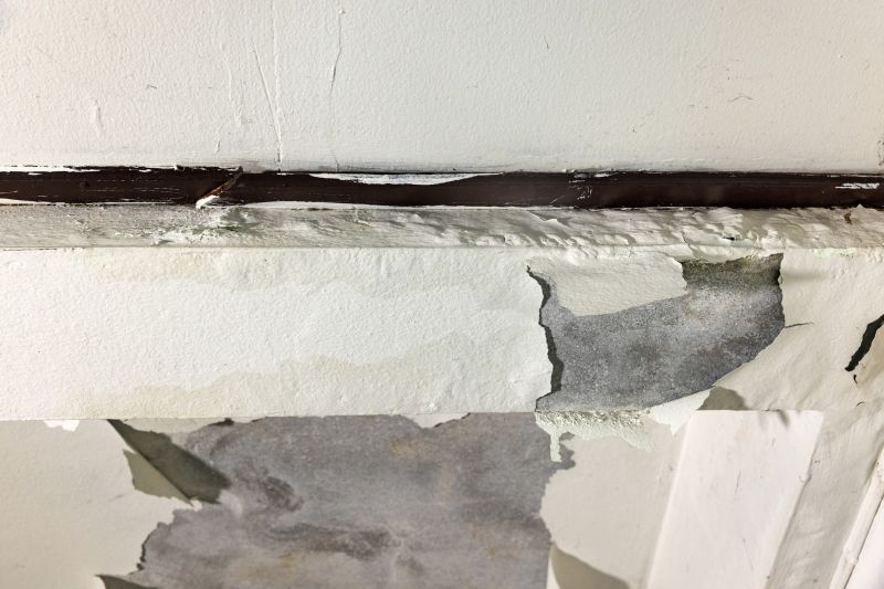 Damaged Ceiling Repair